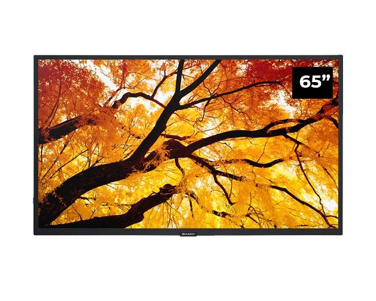 commercial grade IDP 65" inches professional signage display